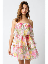 Load image into Gallery viewer, Phoebe Mini Dress
