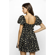 Load image into Gallery viewer, Embroidered Rose Print Dress
